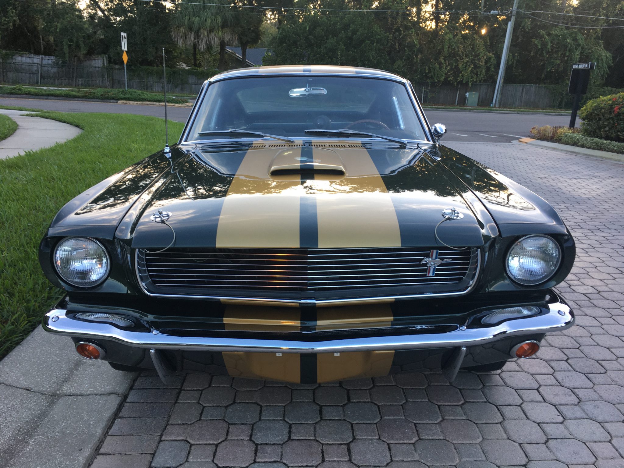 1966 Shelby GT350H Hertz 1 of 59 Ivy Green Hertz Cars — SOLD | Vantage ...